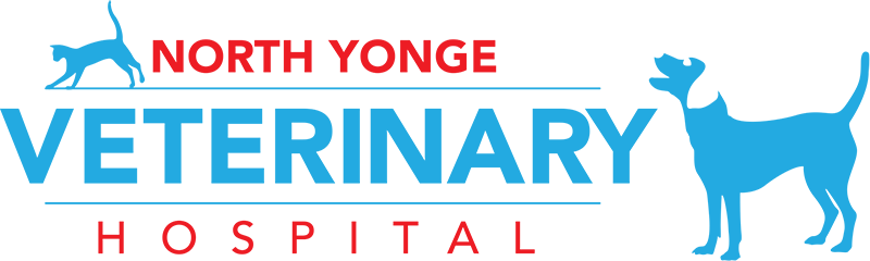 North-Yonge-Veterinary-Hospital-logo