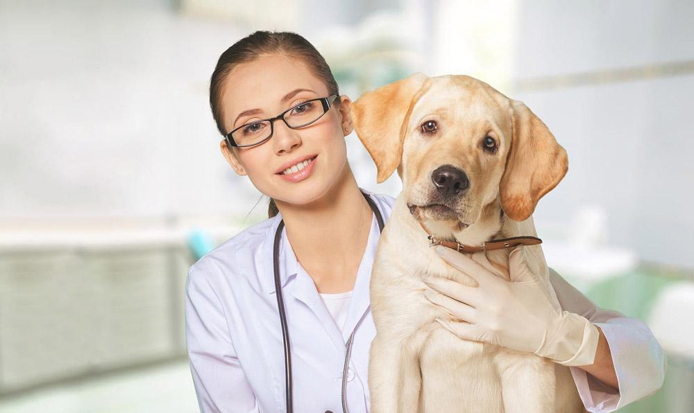 a person wearing glasses and a lab coat holding a dog